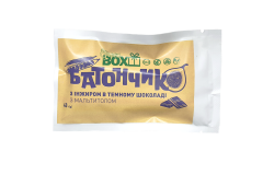 Батончик з Інжиром в темному шоколаді, 40 грам